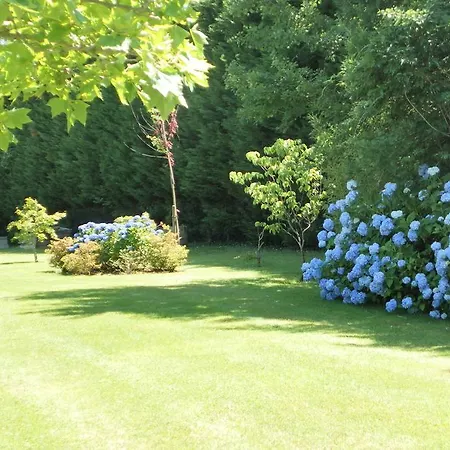 Les Volets Bleus