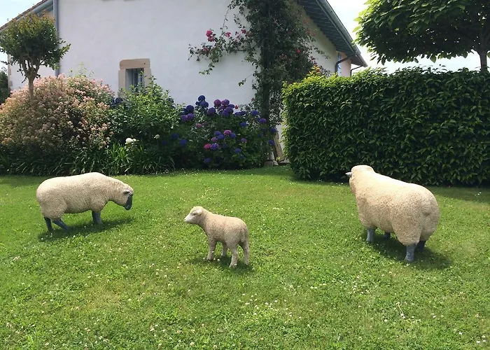 Les Volets Bleus 3* アルカング